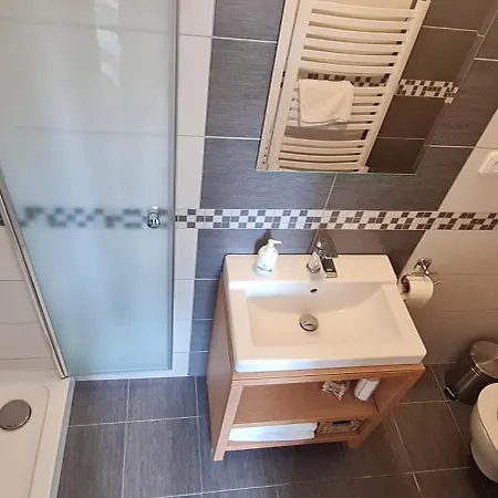 Casa de hóspedes Borievka 3*